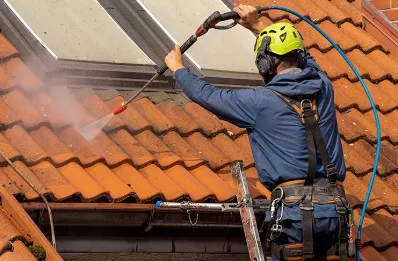 Démoussage et hydrofuge de toiture à Pinon